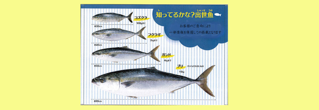 出世魚タペストリー トロマット製 片面 72.8×103cm | 旗の村松